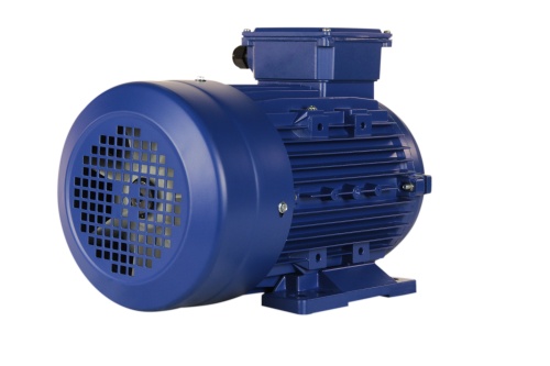 Эл.двигатель 5АИ 100 L6 ED 2.2/1000  IM 1081 фото 3