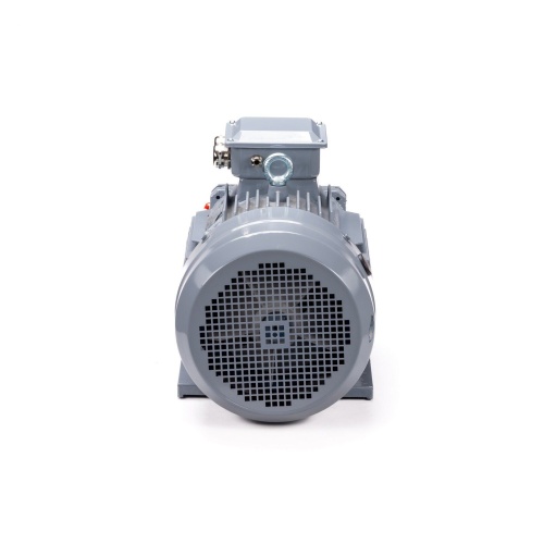Эл.двигатель ESQ PR 132 M6 GST-Б1-S12-IE2 7.6/1000 IM 1081 фото 7