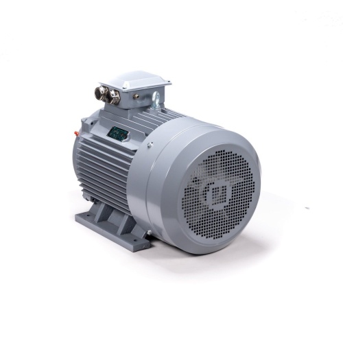 Эл.двигатель ESQ PR 200 L6 GST-Б1-S12-IE2 30/1000 IM 1001 фото 9