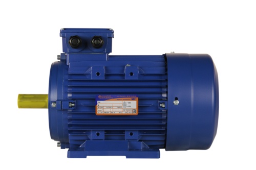 Эл.двигатель 5АИ 100 L6 ED 2.2/1000  IM 1081