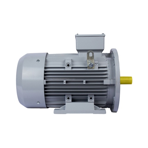 Эл.двигатель ESQ PR 112 MA2-SDN-Б1-S12-IE2 4/3000 IM B35 фото 3
